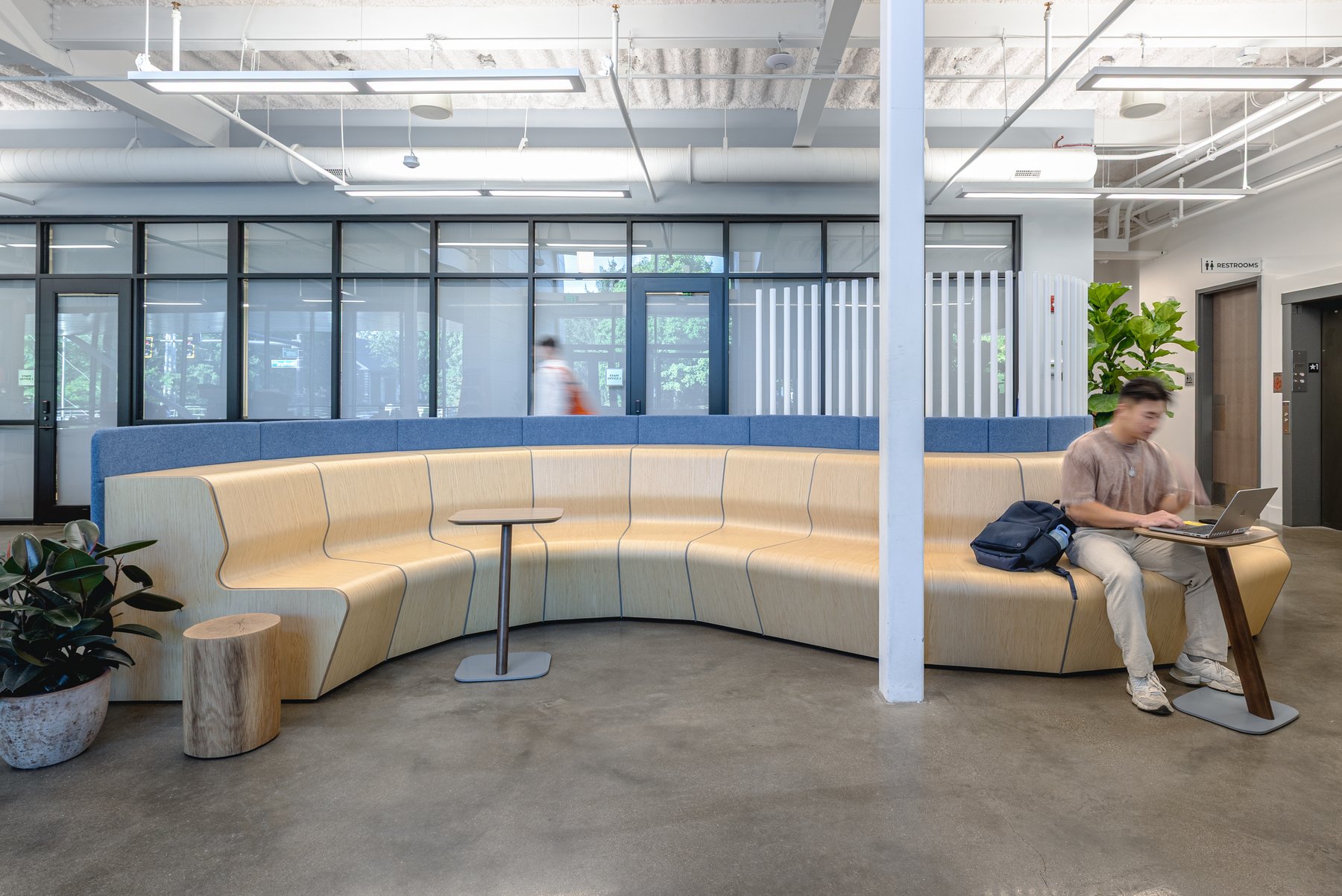 Kentucky University — curved built-in wood bench seating with a blue backrest